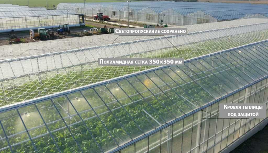 Защитная-полиамидная-сетка-Паутина-над-крупным-тепличным-комплексом